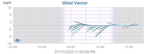 Wind Vector