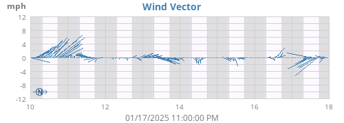 Wind Vector